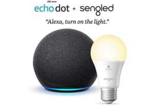 Echo Dot + smart bulb combo available for $28.99 this Black Friday 2020