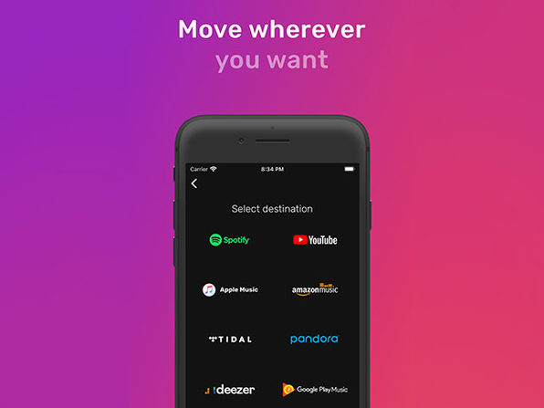 FreeYourMusic Premium Plan