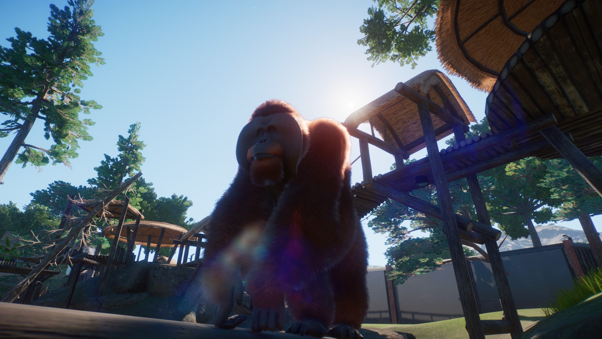 Planet Zoo